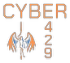 Cyber 429